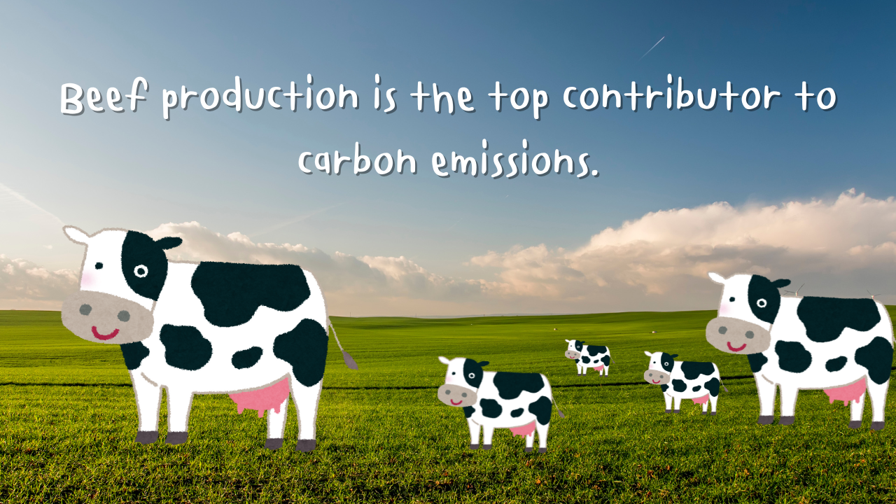 Which Item Has the Highest Carbon Footprint?