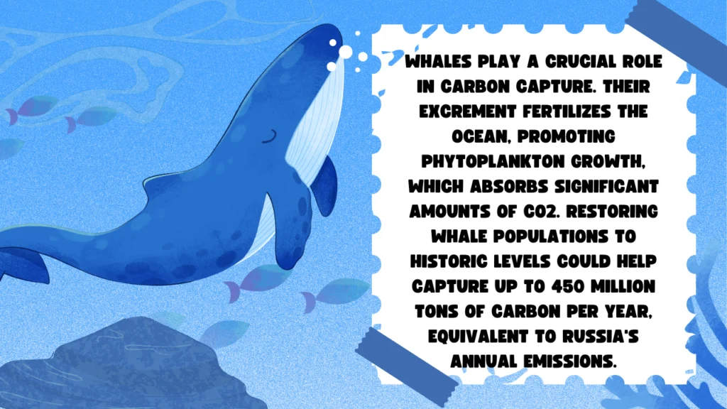 Marine pollution and coral bleaching illustrating the impact of carbon emissions on oceans.