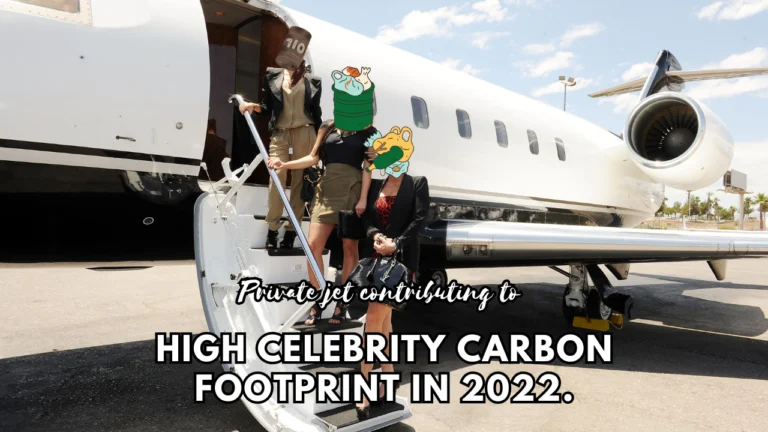 Who has the biggest carbon footprint celebrity?