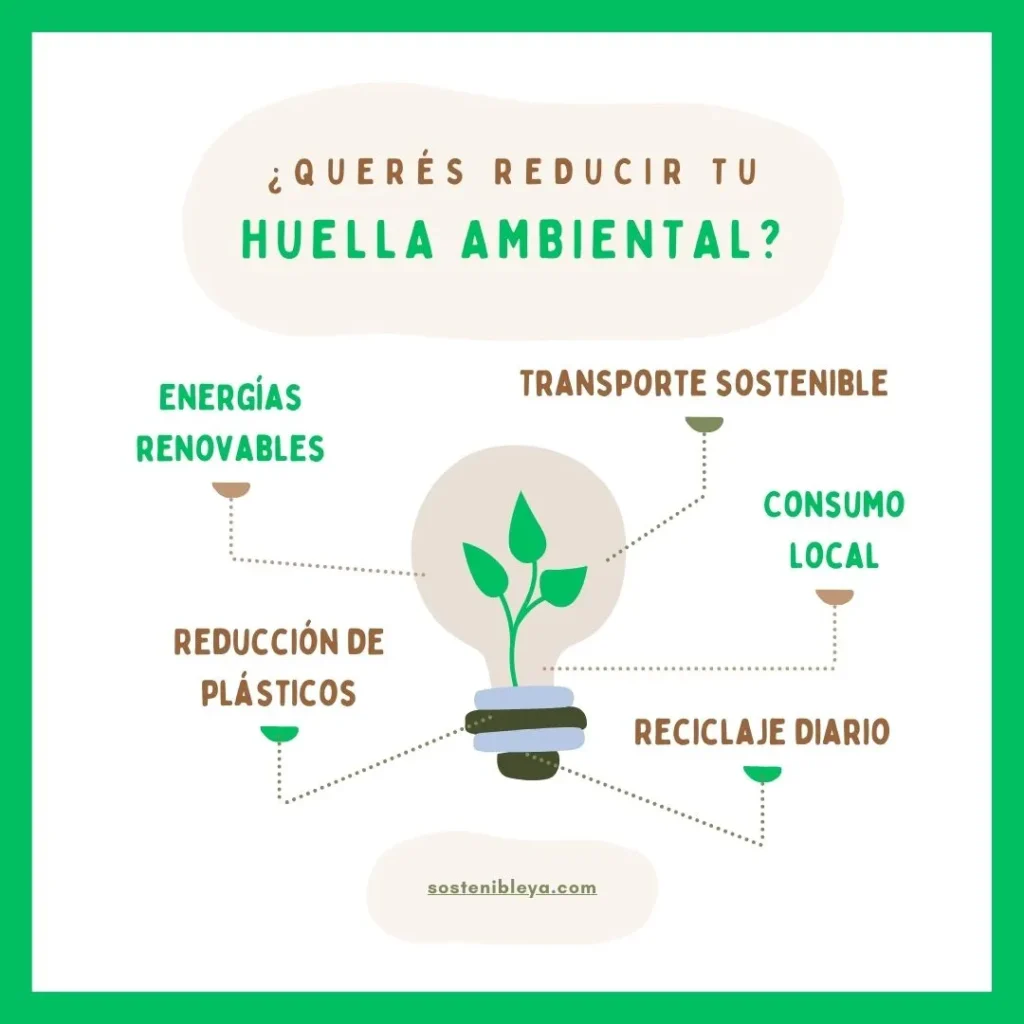 ¿Qué es la Huella de Carbono y Para Qué Sirve?