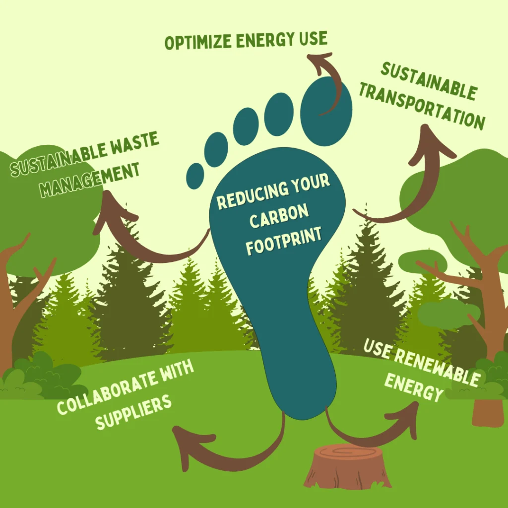 What Are the Four Main Carbon Footprint Categories?