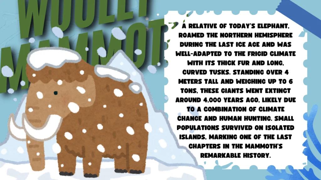 The woolly mammoth (Mammuthus primigenius)