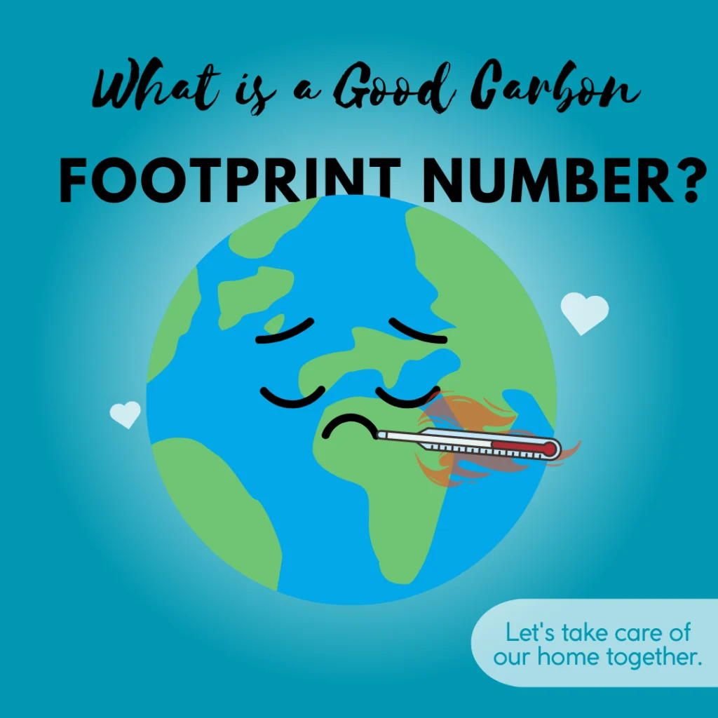 What is a Good Carbon Footprint Number