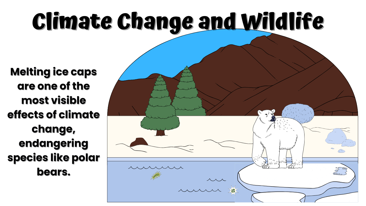 Why Should We Stop Climate Change?