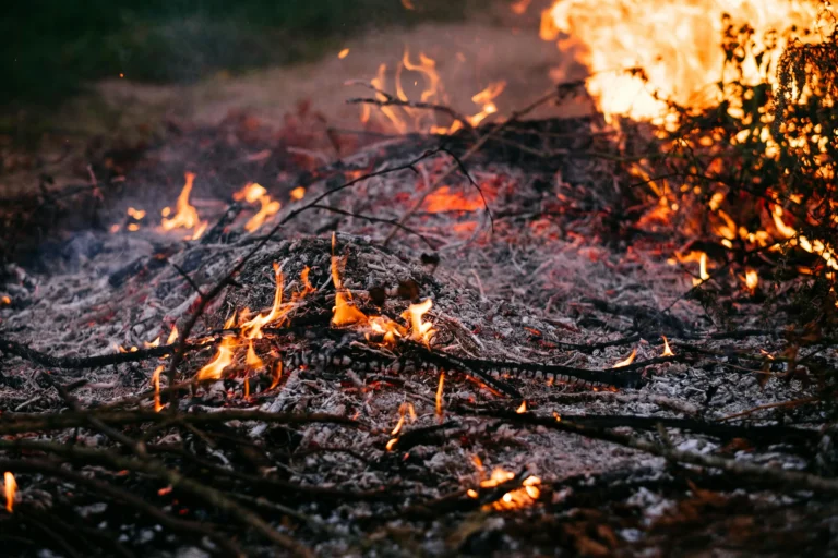 Gráfico de huella de carbono y su impacto en el medio ambiente.